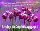 Hiob 19,25 - Ich wei&szlig;, da&szlig; mein Erl&ouml;ser lebt, und zuletzt wird er sich &uuml;ber den Staub erheben.