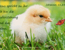 Johannes 11,25 a - Jesus spricht zu ihr: Ich bin die Auferstehung und das Leben.