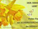 Der Herr lebt! - ohne Bibelvers
