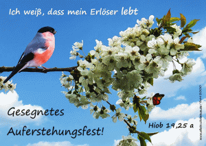 Hiob 19,25 a - Ich wei&szlig;, dass mein Erl&ouml;ser lebt
