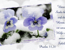 Psalm 33,20 - Unsere Seele harrt auf den Herrn; er ist unsere Hilfe und unser Schild.