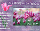 Psalm 119,77 - La&szlig; mir deine Barmherzigkeit widerfahren, dass ich lebe! Denn dein Gesetz ist meine Freude.