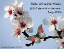 Jesaja 43,19 a - Siehe, ich wirke Neues, jetzt sprosst es hervor
