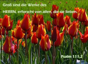 Psalm 111,2 - Groß sind die Werke des Herrn, erforscht von allen, die sie lieben