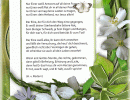 Nur einer wei&szlig; Antwort - Hedwig von Redern