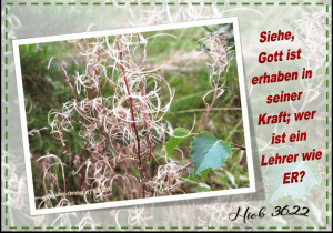 Hiob 36,22 - Siehe, Gott ist erhaben in seiner Kraft; wer ist ein Lehrer wie ER?
