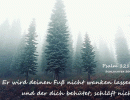 Psalm 121,3 - Er wird deinen Fu&szlig; nicht wanken lassen, und der dich beh&uuml;tet, schl&auml;ft nicht.