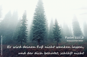 Psalm 121,3 - Er wird deinen Fu&szlig; nicht wanken lassen, und der dich beh&uuml;tet, schl&auml;ft nicht.