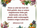 Johannes 3,16 - Denn so sehr hat Gott die Welt geliebt, dass er seinen eingeborenen Sohn gab, damit jeder, der an ihn glaubt, nicht verlorengeht, sondern ewiges Leben hat.