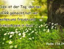 Psalm 118,24 - Dies ist der Tag, den der Herr gemacht hat, wir wollen uns freuen und fr&ouml;hlich sein in ihm