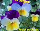 Psalm 32,11 a Freut euch an dem Herrn und seid froehlich, ihr Gerechten