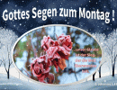 1. Joh. 5,4 b - unser Glaube ist der Sieg, der die Welt &uuml;berwunden hat.