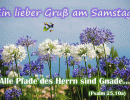 Psalm 25,10 a - Alle Pfade des Herrn sind Gnade