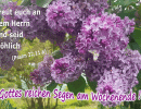 Psalm 32,11 a - Freut euch an dem Herrn und seid fr&ouml;hlich