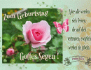 Psalm 5,12a - Aber alle werden sich freuen,  die auf dich vertrauen; ewiglich werden sie jubeln,