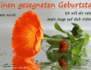 Psalm 32,8 b - Ich will dir raten, mein Auge auf dich richten
